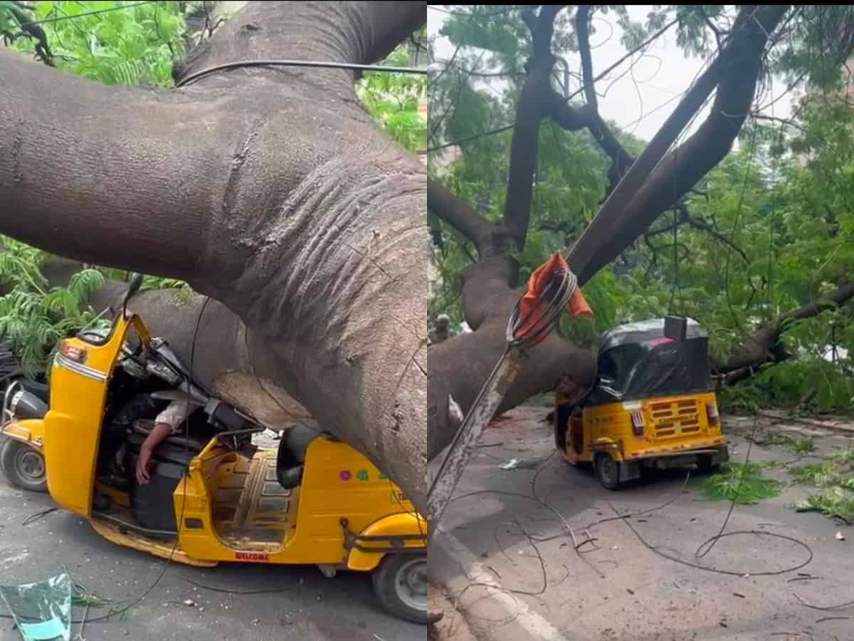 Hyderabad: Tree falls on stationary auto in Himayath Nagar; driver dead