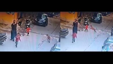 Watch: Stray dog pounces on the little kid in Hyderabad's Tappachabutra