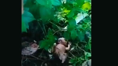 Telangana: Newborn girl rescued from bushes in Suryapet