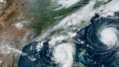 Hurricane Idalia: 34 UAE citizens evacuated from Tampa, Florida