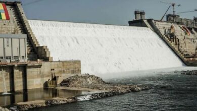 Egypt flags concern as Ethiopia fills Nile dam reservoir