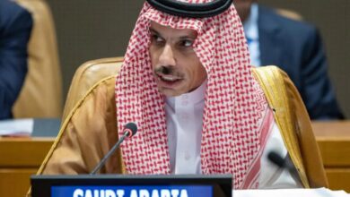 Saudi FM: Issue of Jammu and Kashmir represents urgent challenge to region's security, stability