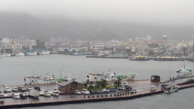 Typhoon Yun-yeung approaches Japan