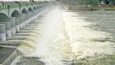 Cauvery river