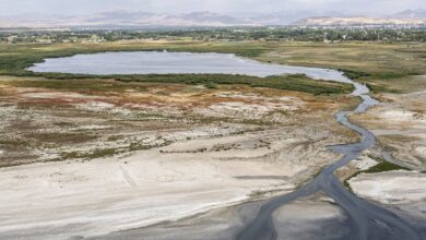 Turkey experiences driest August in 33 yrs: Report