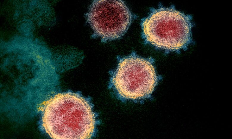 UK expert warns of pandemic worse than Covid in new book