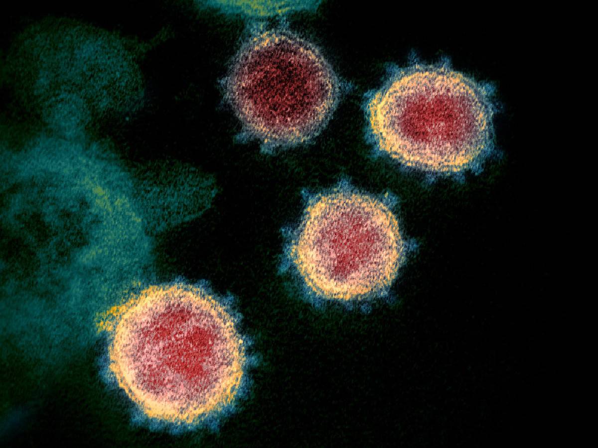 UK expert warns of pandemic worse than Covid in new book