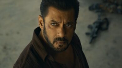 'Tiger Ka Message': Salman Khan unveils Tiger 3 teaser - Watch