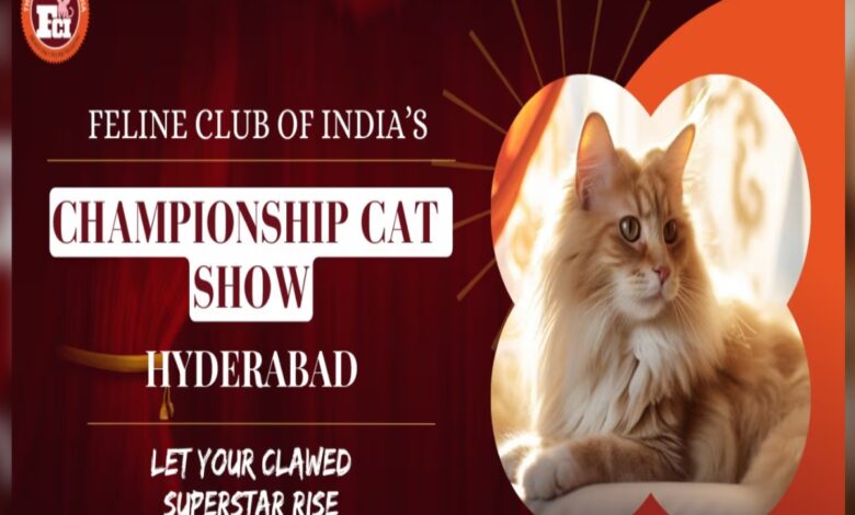 Biggest cat show in Hyderabad: Date, tickets and venue