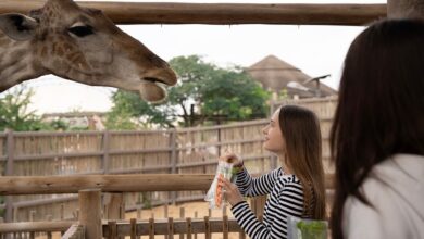 Dubai Safari Park announces new season; know timings, tickets