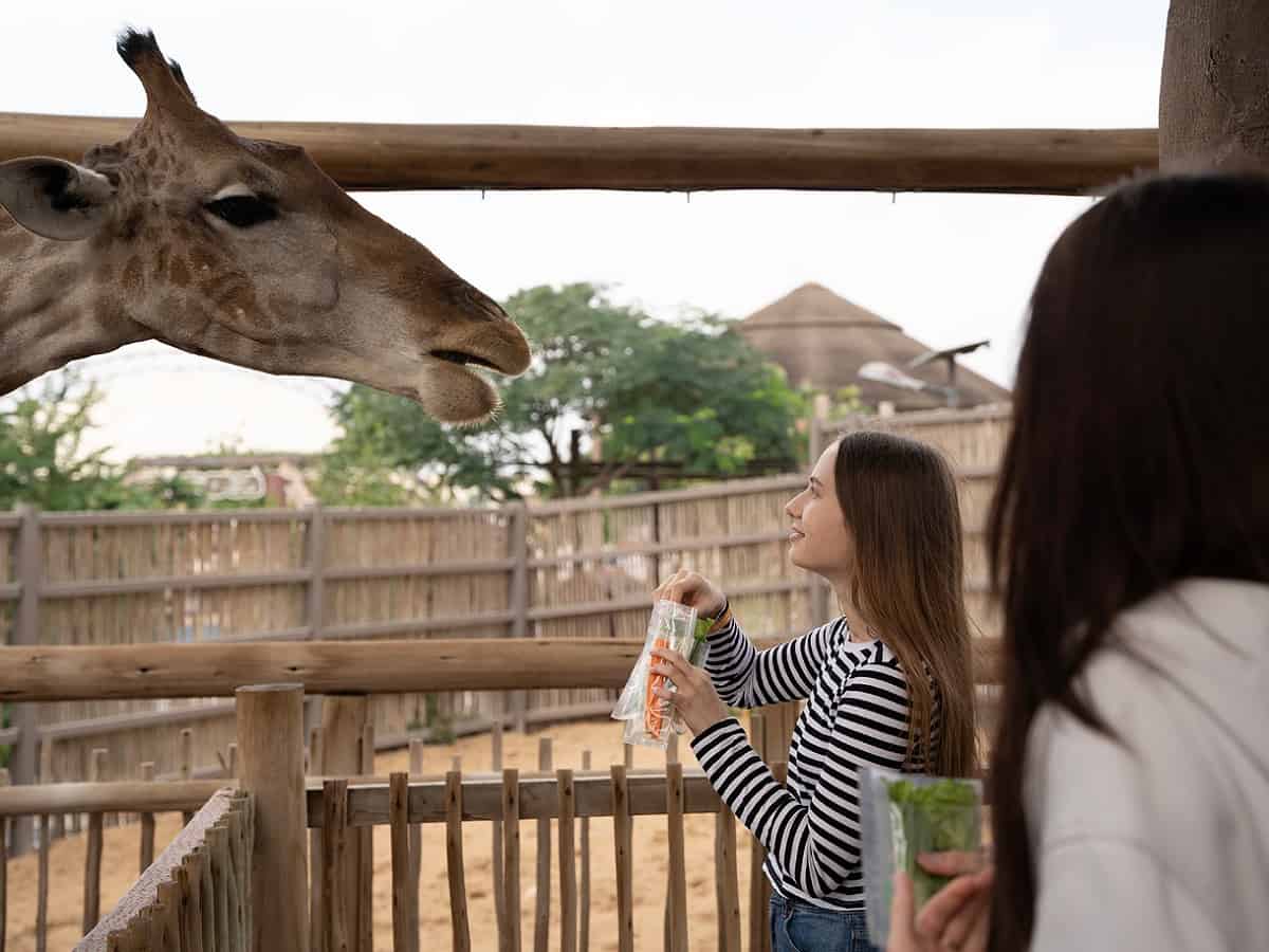 Dubai Safari Park announces new season; know timings, tickets