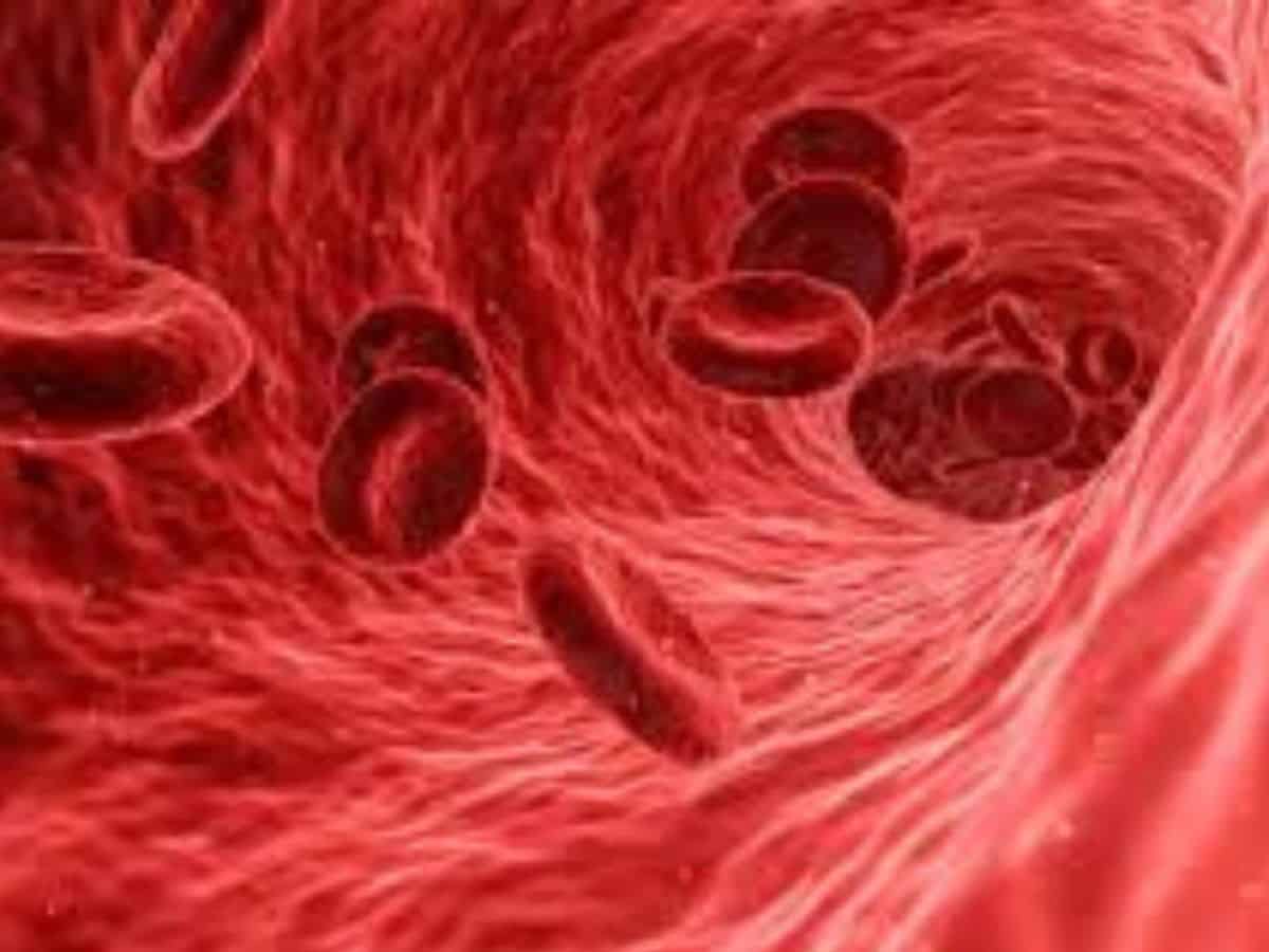 Hyderabad: National conference on Thalassemia on October 7