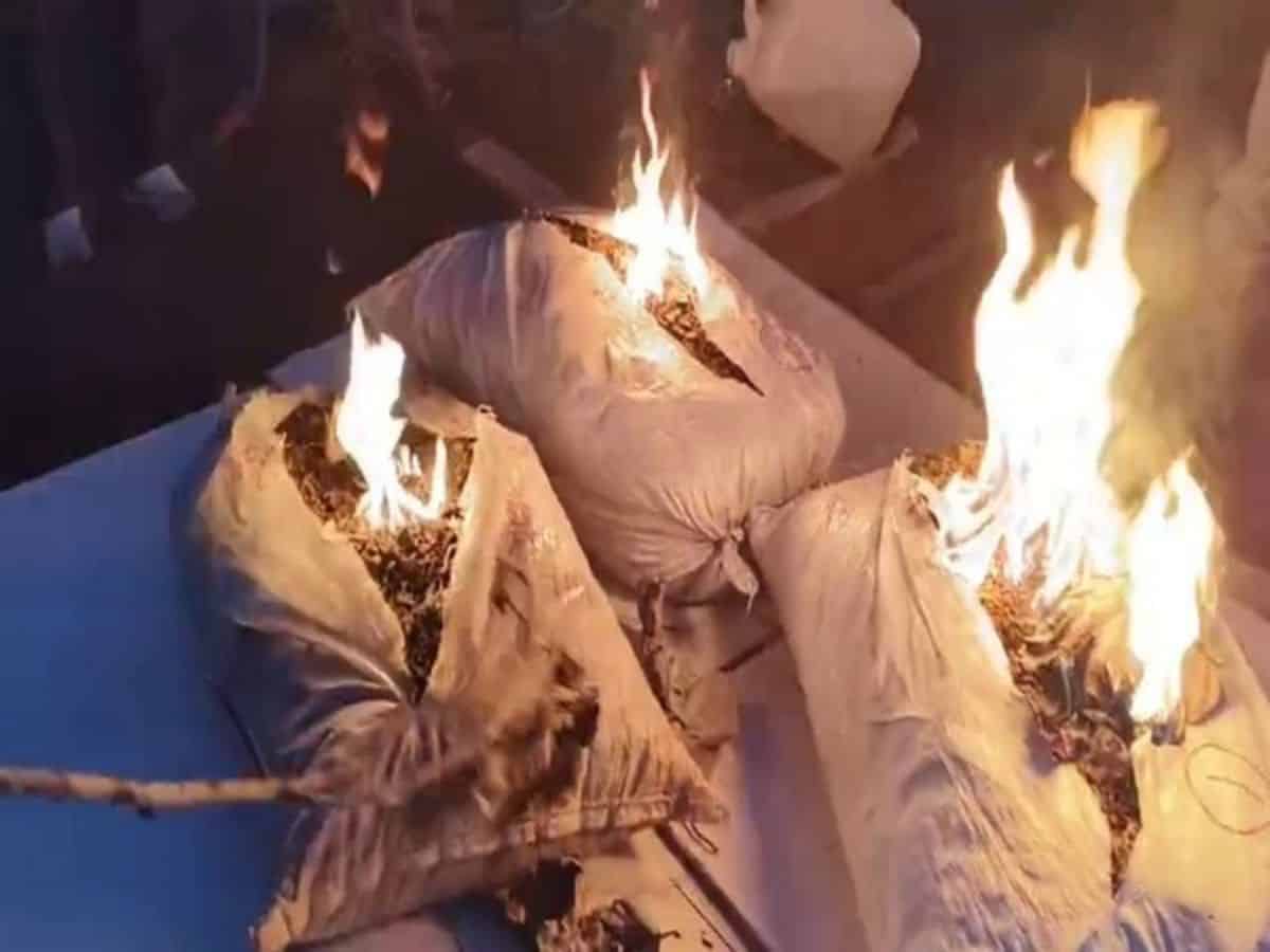 Telangana: 757 kg ganja worth Rs 2 cr destroyed by Mulugu cops