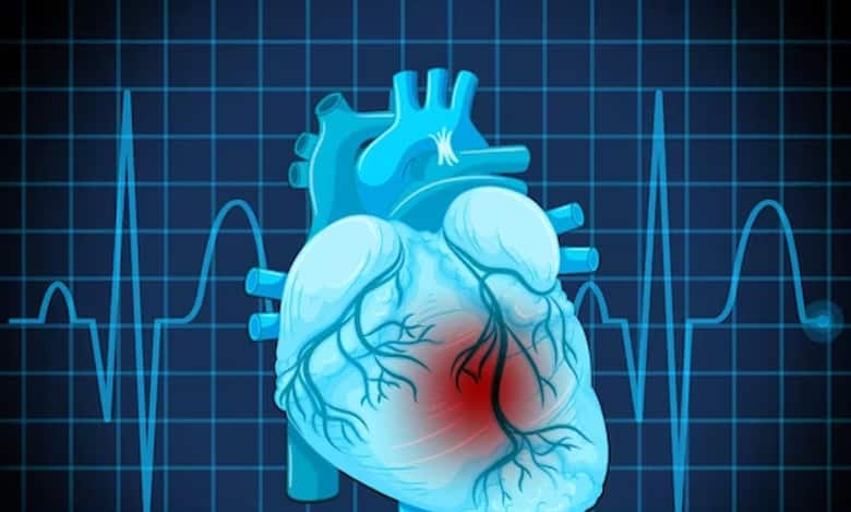 Rising heat linked to more cardiovascular deaths: Study