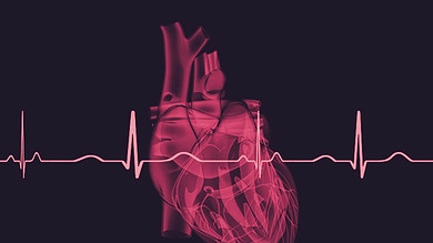 New AI tool can identify people with abnormal heart rhythms