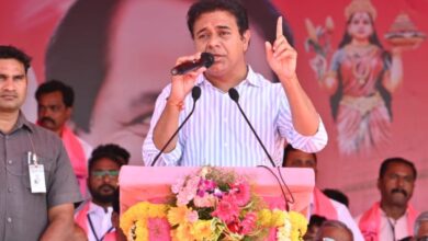 Telangana Cong chief more dangerous than Dawood Ibrahim: KTR