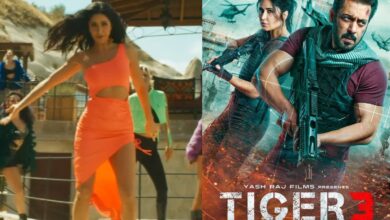 Will Katrina Kaif's saffron outfit in Tiger 3 song trigger boycott calls?