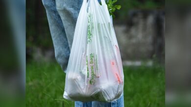 UAE: Ras Al Khaimah to ban single-use plastic bags from 2024
