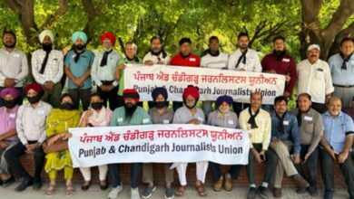 Punjab journalists demand panel for protection -IANS