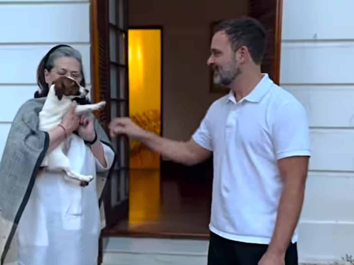 AIMIM leader moves court on Rahul Gandhi over pet dog's name