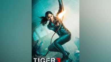 Katrina Kaif's new poster of 'Tiger 3' out, film to release this Diwali