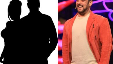 Two NEW contestants enter Bigg Boss 17: Names and photos