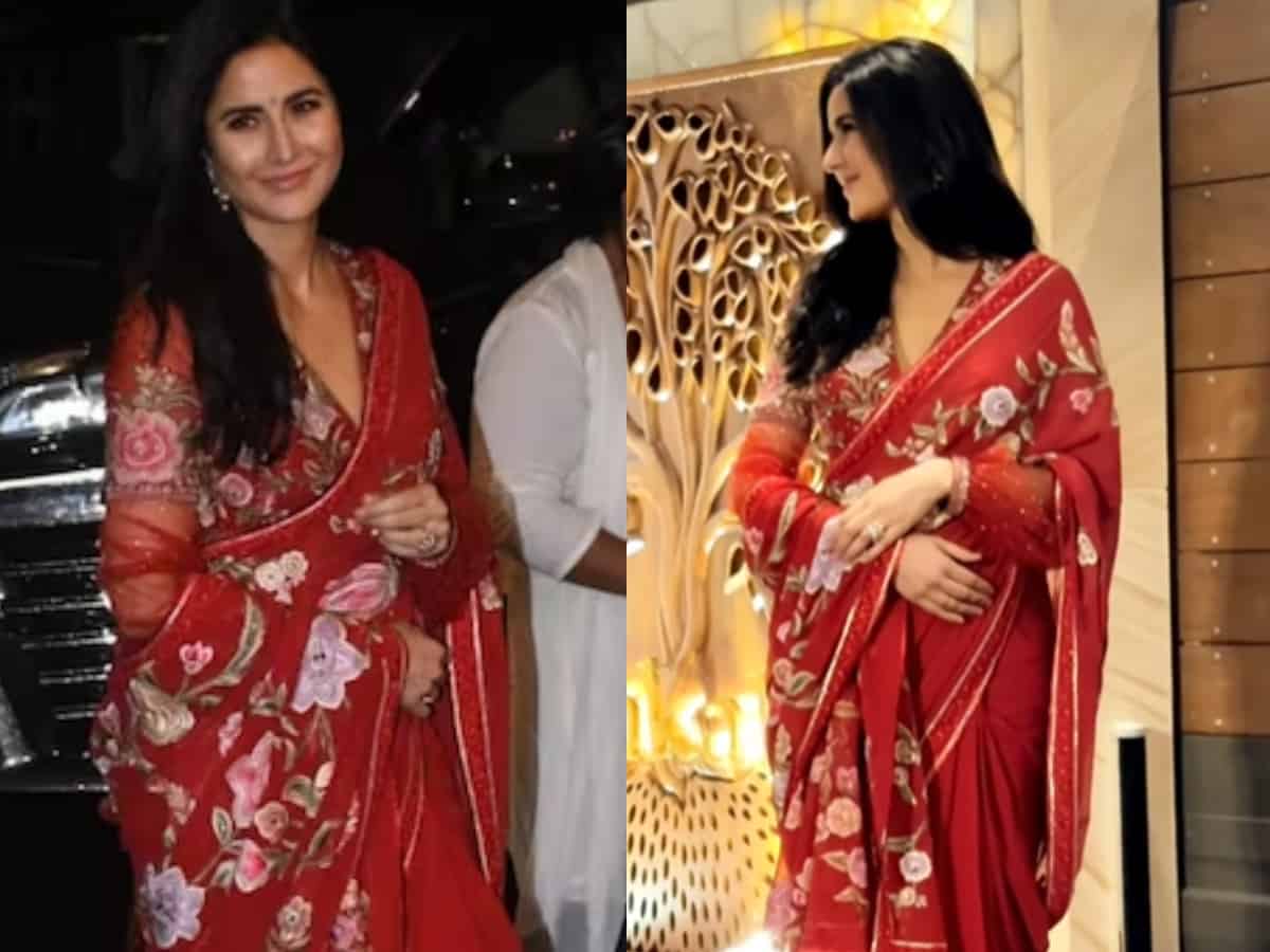 Katrina Kaif pregnant, tries to hide her baby bump? Watch here