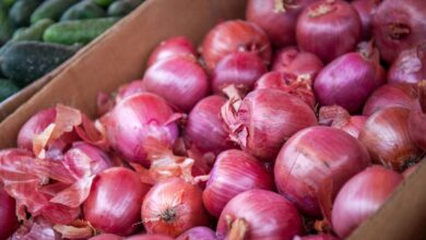 India bans onion exports till March 2024
