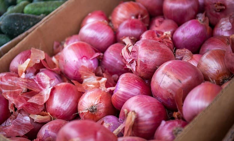 India bans onion exports till March 2024