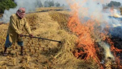 Pak min blames smog in Lahore on stubble burning in India