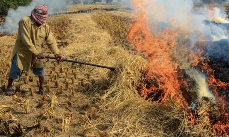 Pak min blames smog in Lahore on stubble burning in India