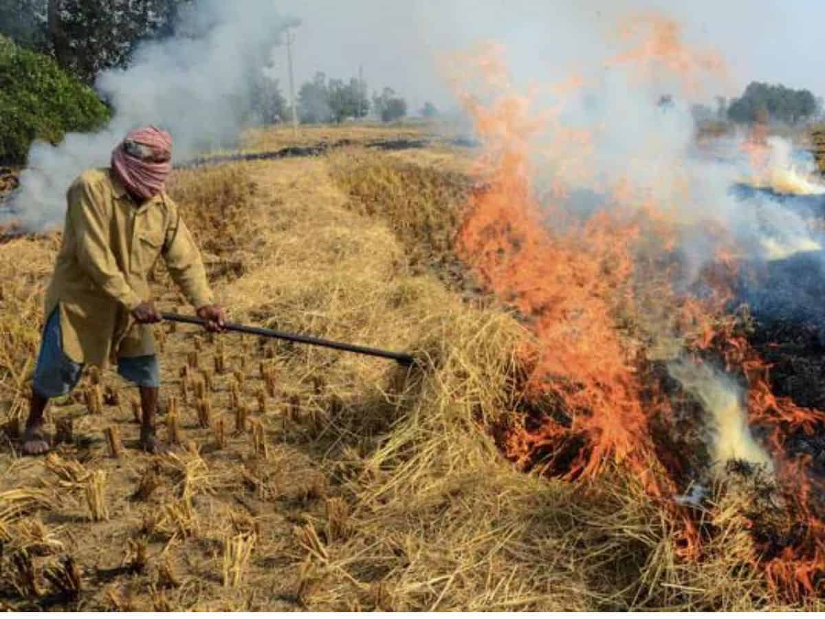 Pak min blames smog in Lahore on stubble burning in India