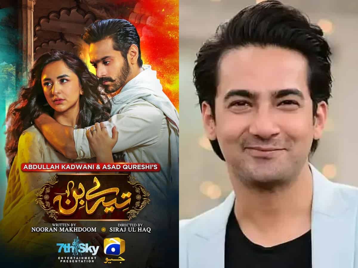 Popular actor calls hit Pakistani drama 'Tere Bin' as 'Dust Bin'