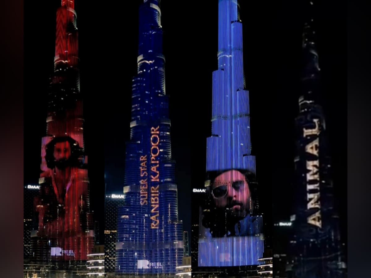 Watch: Animal takes over Burj Khalifa in Dubai