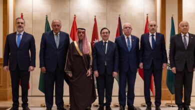 Arab Islamic Committee discusses with Spanish FM ways to stop war in Gaza