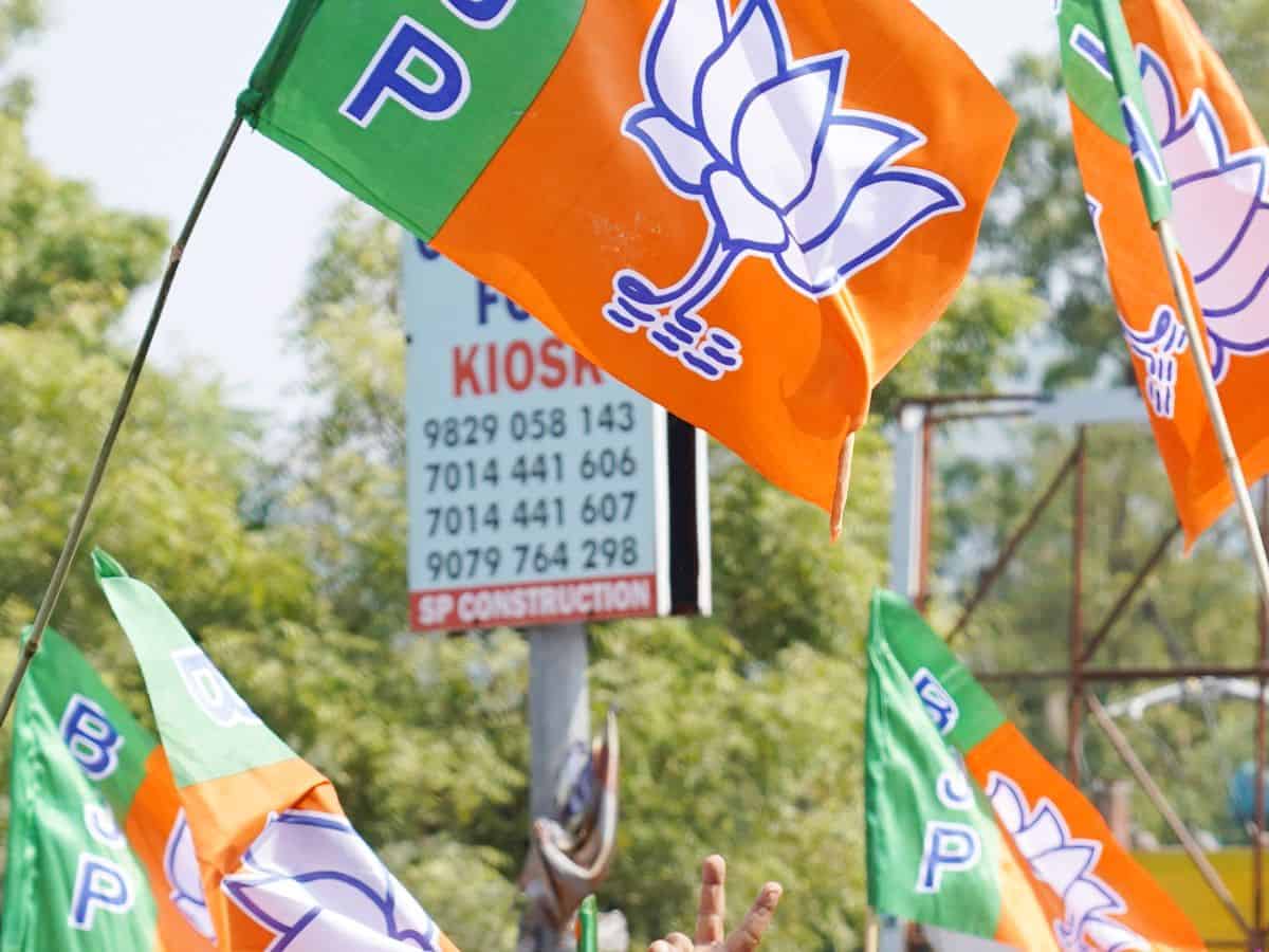 BJP Flag