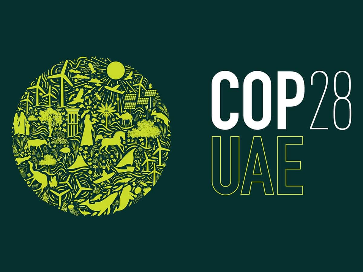 New streaming service to provide free access to films on environment launched at COP28