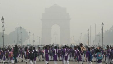 Toxic air: Primary schools in Delhi shut till Nov 10