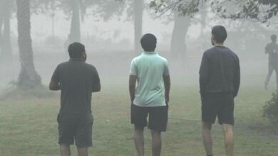 Severe category: Delhi's air quality dips drastically due to stubble burning