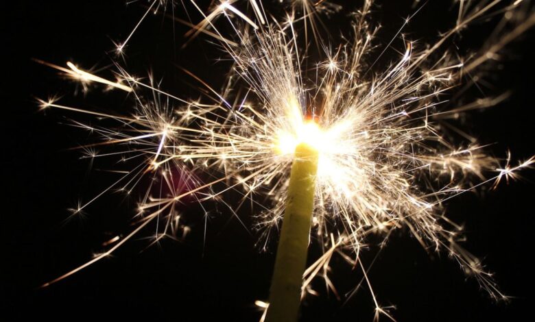 Firecracker ban: BRS hits back BJP on 'muzzling Hindu fests' comment