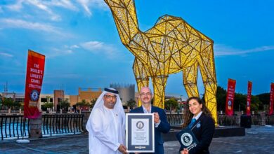 Dubai is now home to the world's largest LED illuminated camel
