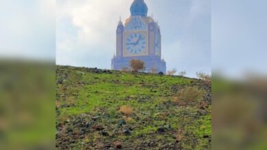 Watch: Mountains in Makkah turn green once again after heavy rainfall