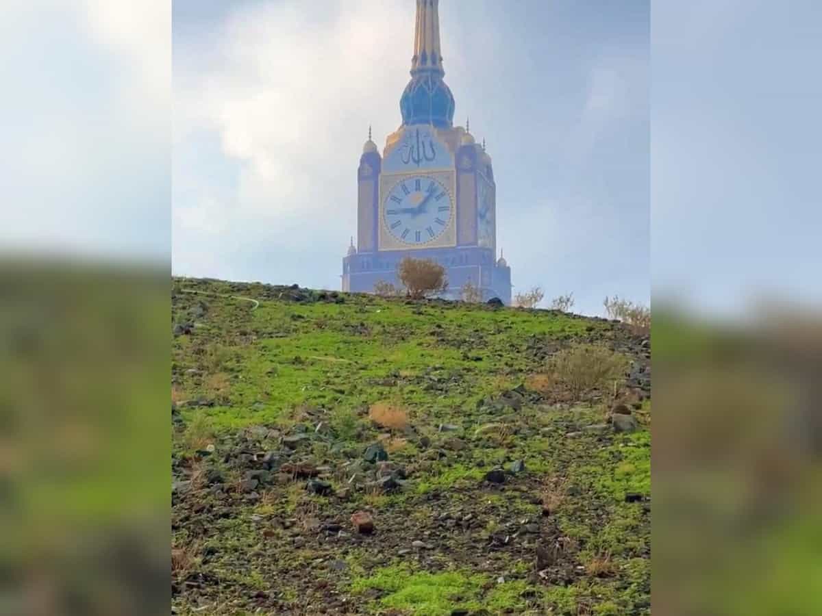 Watch: Mountains in Makkah turn green once again after heavy rainfall