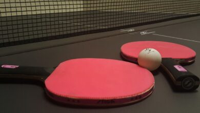 Hyderabad: Masters Table Tennis championship to unfold on Nov 18