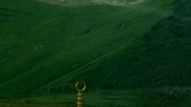 Watch: Lush greenery covers mountains adjacent to Makkah's Grand Mosque