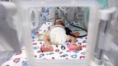 39 newborns at risk of death at Al-Shifa hospital in Gaza
