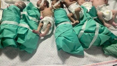 30 premature babies evacuated from Gaza's Al-Shifa hospital