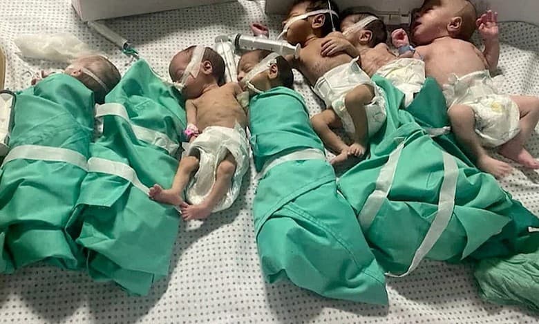 30 premature babies evacuated from Gaza's Al-Shifa hospital
