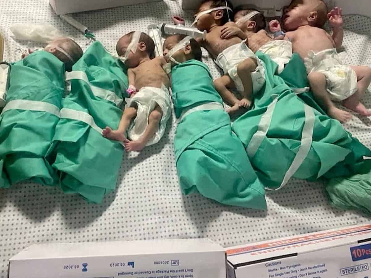 30 premature babies evacuated from Gaza's Al-Shifa hospital