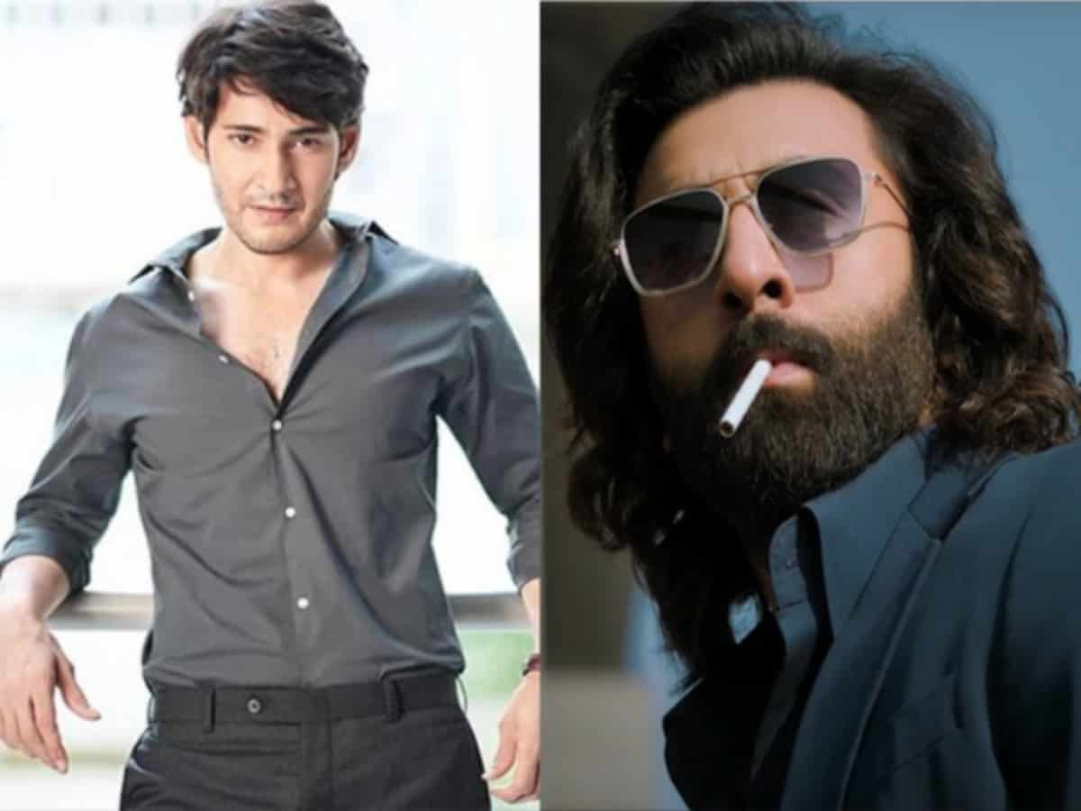 Mahesh Babu calls Ranbir Kapoor